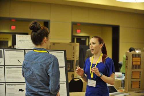 Students share their research during the 2015 Research and Creativity Day.