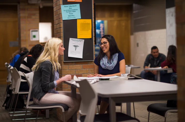 Students studying together