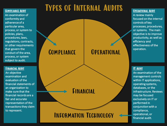 Internal Audit Function Pdf SkyetaroClarke